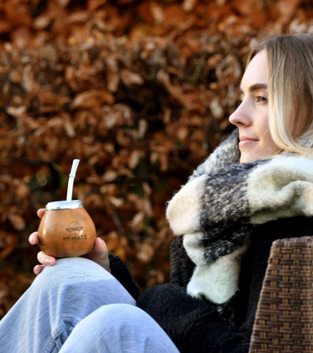 Yerba Mate Starterspakket Compleet - Traditionele Kalebas + Bombilla - Original Maté 150g 4 Yerba Mate Starterspakket Compleet - Traditionele Kalebas + Bombilla - Original Maté 150g - Afbeelding 4