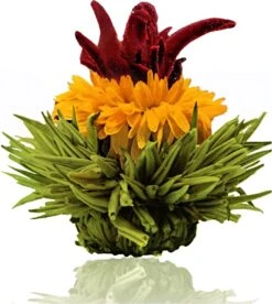 Creano Theebloemen Pakket Groene Thee - Fruitsmaken - 6 Stuks - 13 Creano Theebloemen Pakket Groene Thee - Fruitsmaken - 6 Stuks - -Monin Verkoopwinkel 1073x1200
