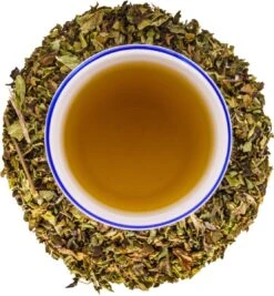 Into The Cycle Kruidenthee - Citroenmelisse Thee Biologisch - Losse Thee - 50 Gram Zak -Monin Verkoopwinkel 1111x1200 7