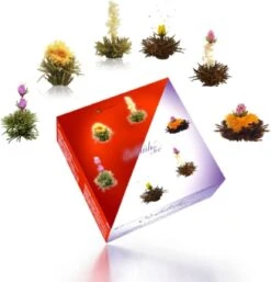 Creano Theebloemen Geschenkset Kadoverpakking Theebloemen En Glazen Theekan - Witte Theebloemen En Zwarte Theebloemen (6 Stuks) -Monin Verkoopwinkel 1155x1200 4