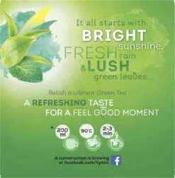 Lipton Intense Mint Groene Thee, Met De Verfrissende Smaak Van Groene Thee En Echte Muntblaadjes - 4 X 20 Zakjes - PL-EKO-03 -Monin Verkoopwinkel 1176x1200 2