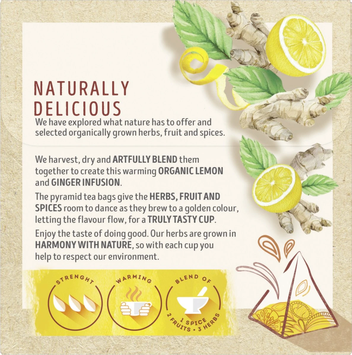Lipton Ginger & Lemon Kruidenthee, Met De Vurige Smaak Van Gember En Frisheid Van Citroen - 4 X 20 Zakjes - PL-EKO-03 5 Lipton Ginger & Lemon Kruidenthee, Met De Vurige Smaak Van Gember En Frisheid Van Citroen - 4 X 20 Zakjes - PL-EKO-03 - Afbeelding 5