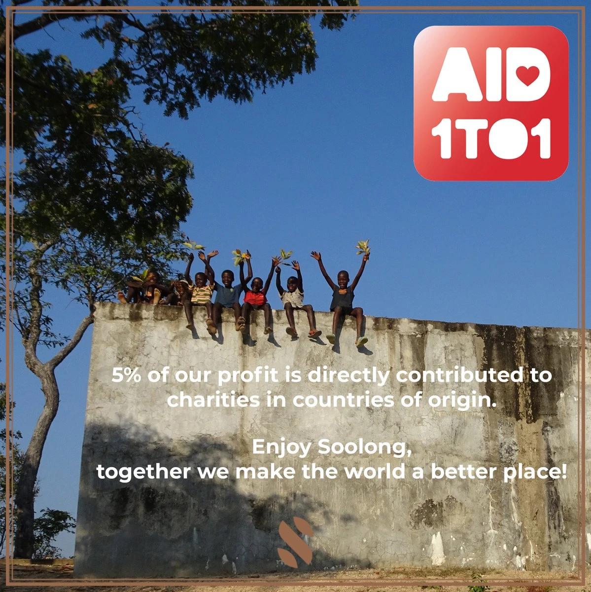 Soolong See Japan Nr32 Exclusieve Japanse Groene Thee - Umami - Fukamuchicha Uit Japan - Duurzame Losse Thee - Sencha Thee - Blik 35gram 6 Soolong See Japan Nr32 Exclusieve Japanse Groene Thee - Umami - Fukamuchicha Uit Japan - Duurzame Losse Thee - Sencha Thee - Blik 35gram - Afbeelding 6