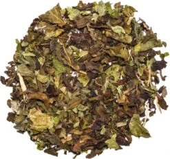 Into The Cycle Kruidenthee - Citroenmelisse Thee Biologisch - Losse Thee - 50 Gram Zak -Monin Verkoopwinkel 1200x1118