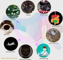 Kopi Luwak Koffie. 35 Gram Ongemalen Bonen. Direct Trade. Single Origin. The Original By Rich.Exclusive. -Monin Verkoopwinkel 1200x1153