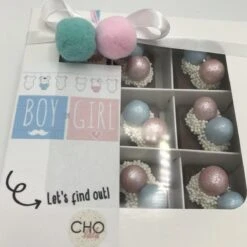 Cho-lala Gender Reveal Bonbons Jongen | Chocoladecadeau Gender Reveal | Babyshower | Boy Or Girl, Let's Find Out | 9 Stuks Bonbons Met Blauwe Vulling -Monin Verkoopwinkel 1200x1200 184