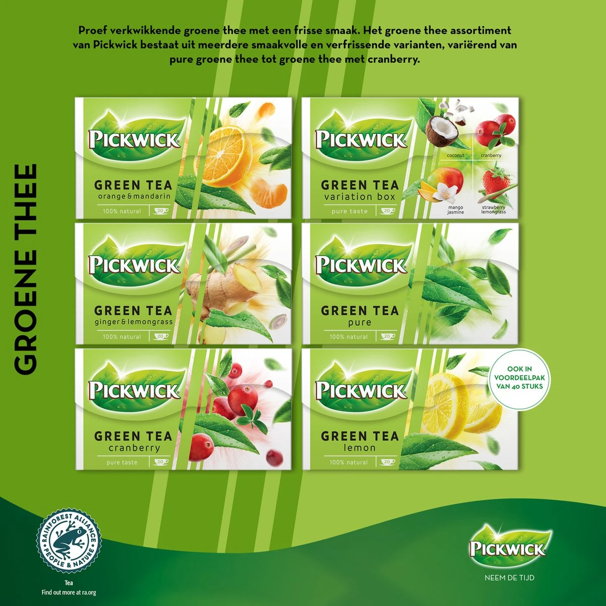 Pickwick Pure Groene Thee - 12 X 20 Zakjes 6 Pickwick Pure Groene Thee - 12 X 20 Zakjes - Afbeelding 6