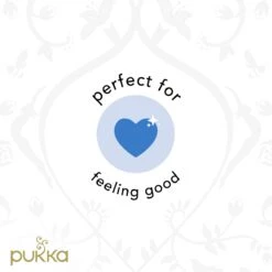 Pukka Feel New Thee, Met Anijs- En Venkelzaad - 4 X 20 Zakjes - GB-BIO-05 -Monin Verkoopwinkel 1200x1200 315