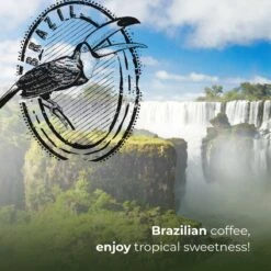Soolong Enjoy Brazilie Nr4000 Koffiebonen Topacio Lungo - Speciality Koffie Arabica Medium Roast, Light Body Met Een Verfijnde Zacht Zoete Smaak. - Zak 250gram -Monin Verkoopwinkel 1200x1200 32