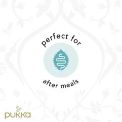 Pukka Three Mint Thee, Met Pepermunt, Groene Munt En Veldmunt - 4 X 20 Zakjes - GB-BIO-05 -Monin Verkoopwinkel 1200x1200 321