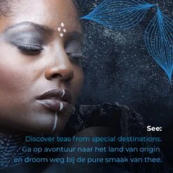 Soolong See Japan Nr32 Exclusieve Japanse Groene Thee - Umami - Fukamuchicha Uit Japan - Duurzame Losse Thee - Sencha Thee - Blik 35gram 13 Soolong See Japan Nr32 Exclusieve Japanse Groene Thee - Umami - Fukamuchicha Uit Japan - Duurzame Losse Thee - Sencha Thee - Blik 35gram -Monin Verkoopwinkel 1200x1200 363