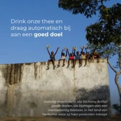 Soolong See Japan Nr32 Exclusieve Japanse Groene Thee - Umami - Fukamuchicha Uit Japan - Duurzame Losse Thee - Sencha Thee - Blik 35gram 18 Soolong See Japan Nr32 Exclusieve Japanse Groene Thee - Umami - Fukamuchicha Uit Japan - Duurzame Losse Thee - Sencha Thee - Blik 35gram -Monin Verkoopwinkel 1200x1200 366