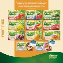 Pickwick Bosvruchten Fruit Thee - 12 X 20 Zakjes -Monin Verkoopwinkel 1200x1200 391
