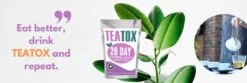 TeaTox™ 28 Dagen Afvallen Detox - Thee - Detox + E-book 30 Recepten -Monin Verkoopwinkel 1200x401