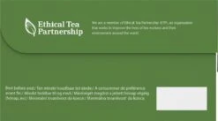 Pickwick English Zwarte Thee - 6 X 40 Zakjes - Extra Grote Verpakking -Monin Verkoopwinkel 1200x664