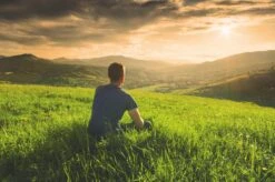 Teamasters Pure, Blends & Specials Mixbox - Gratis RVS Filter - Biologische Losse Thee - Rooibos - Munt - Citroen - Groene Thee - Jasmijn Thee - Zwarte Thee - Gember - Witte Thee - Framboos - Passievrucht - Theedoos - Zomer - Geschenkset 16 Teamasters Pure, Blends & Specials Mixbox - Gratis RVS Filter - Biologische Losse Thee - Rooibos - Munt - Citroen - Groene Thee - Jasmijn Thee - Zwarte Thee - Gember - Witte Thee - Framboos - Passievrucht - Theedoos - Zomer - Geschenkset -Monin Verkoopwinkel 1200x799 12