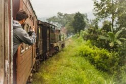 Teamasters Pure & Blends Mixbox - 6 X 60 Gram - Biologische Losse Thee - Rooibos Thee - Munt Thee - Citroen Thee - Groene Thee - Jasmijn Thee - Zwarte Thee - Oolong Thee - IJsthee - Zomer 10 Teamasters Pure & Blends Mixbox - 6 X 60 Gram - Biologische Losse Thee - Rooibos Thee - Munt Thee - Citroen Thee - Groene Thee - Jasmijn Thee - Zwarte Thee - Oolong Thee - IJsthee - Zomer -Monin Verkoopwinkel 1200x800 53