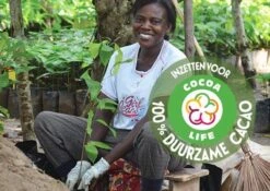 Côte D'Or Cadeau - VINTAGE Mignonnette - Pure Chocolade Bonbons - 240g 15 Côte D'Or Cadeau - VINTAGE Mignonnette - Pure Chocolade Bonbons - 240g -Monin Verkoopwinkel 1200x850 1