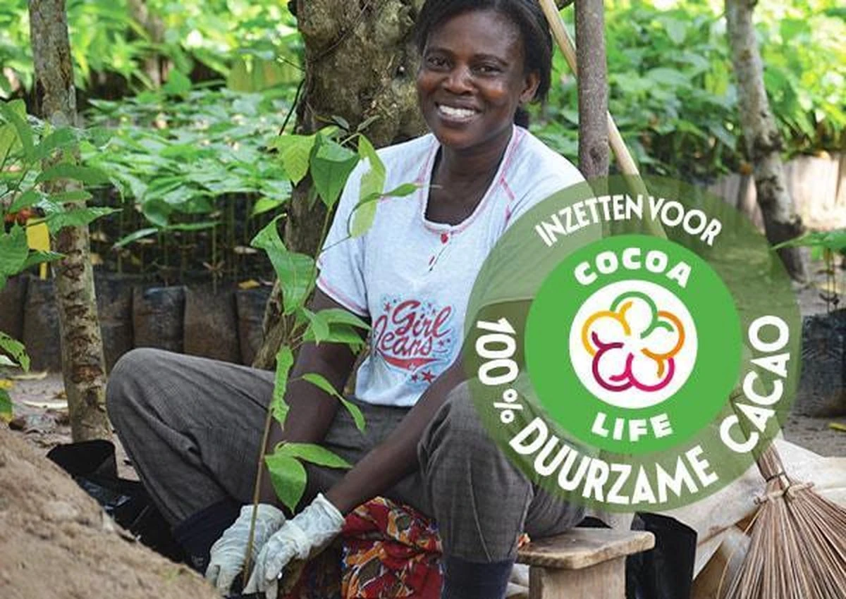 Côte D'Or Cadeau - VINTAGE Mignonnette - Pure Chocolade Bonbons - 240g 8 Côte D'Or Cadeau - VINTAGE Mignonnette - Pure Chocolade Bonbons - 240g - Afbeelding 8