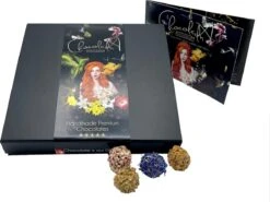 ChocolaDNA & Geruba - Grote Luxe Chocolade Truffels, Bonbons En Pralines Mix - Viering - Geschenkset - Chocoladecadeau -Monin Verkoopwinkel 1200x897