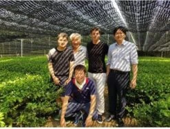 Japanse Premium Matcha Thee - 50 Gram - Inclusief Matcha Klopper - Vol Met Antioxidanten, Vitaminen & Mineralen - Vandaag Besteld, Morgen In Huis! 12 Japanse Premium Matcha Thee - 50 Gram - Inclusief Matcha Klopper - Vol Met Antioxidanten, Vitaminen & Mineralen - Vandaag Besteld, Morgen In Huis! -Monin Verkoopwinkel 1200x911 2