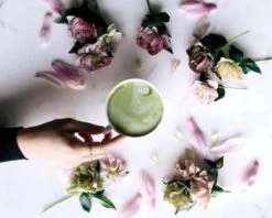 Japanse Matcha Cadeau Set - Het Perfecte Cadeau! ✔ Vandaag Besteld, Morgen In Huis ✔ Gratis Matcha Boek Bij Uw Bestelling! 21 Japanse Matcha Cadeau Set - Het Perfecte Cadeau! ✔ Vandaag Besteld, Morgen In Huis ✔ Gratis Matcha Boek Bij Uw Bestelling! -Monin Verkoopwinkel 1200x960 3