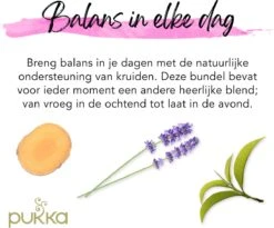 Pukka Day To Night Thee Bundel, Biologische Kruidenthee Voor Elk Moment Van De Dag - 3 X 20 Zakjes - GB-BIO-05 12 Pukka Day To Night Thee Bundel, Biologische Kruidenthee Voor Elk Moment Van De Dag - 3 X 20 Zakjes - GB-BIO-05 -Monin Verkoopwinkel 1200x996 2