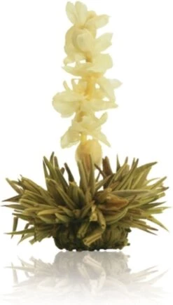 Creano Theebloemen Geschenkset Kadoverpakking Theebloemen En Glazen Theekan - Witte Theebloemen En Zwarte Theebloemen (6 Stuks) -Monin Verkoopwinkel 682x1200