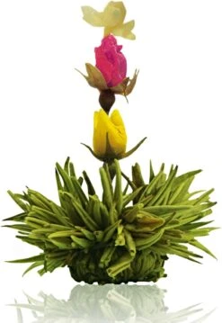 Creano Theebloemen Pakket Groene Thee - Fruitsmaken - 6 Stuks - 10 Creano Theebloemen Pakket Groene Thee - Fruitsmaken - 6 Stuks - -Monin Verkoopwinkel 826x1200