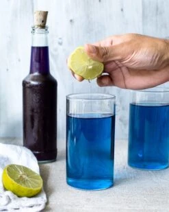 Merkloos Voordeelverpakking - Kittelbloem - Blauwe Vlindererwt Thee - Blue Butterfly Pea Flower Tea - Verse Thee - Cafeïnevrije Kruidenthee - 200 Gram -Monin Verkoopwinkel 960x1200 13