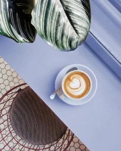 CHALO Prijswinnende Masala Chai Latte - Indische Vegan Chai - Zwarte Assam Thee - 25 Porties/ 300GR -Monin Verkoopwinkel 960x1200 15