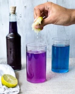 Merkloos Blauwe Vlindererwt Thee - Blue Butterfly Pea Flower Tea - Cafeïnevrije Kruidenthee - Kittelbloem - 20 Gram -Monin Verkoopwinkel 960x1200 6