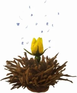 Creano Theebloemen Geschenkset Kadoverpakking Theebloemen En Glazen Theekan - Witte Theebloemen En Zwarte Theebloemen (6 Stuks) -Monin Verkoopwinkel 992x1200 2